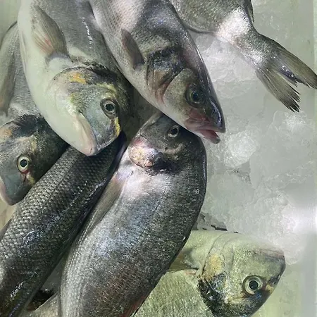 Paco & Bony Apartment *