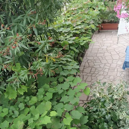 Paco & Bony Apartment *