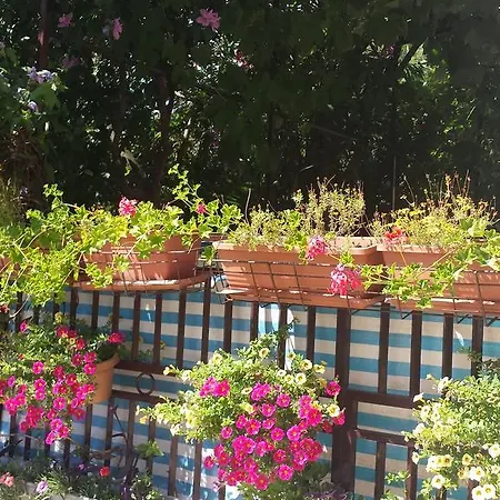 Apartment Paco & Bony Lovran