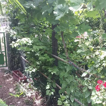 Apartment Paco & Bony