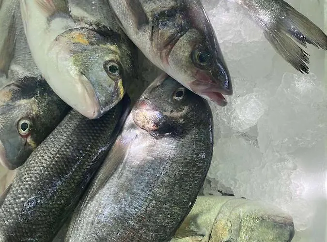 Paco & Bony Apartman *