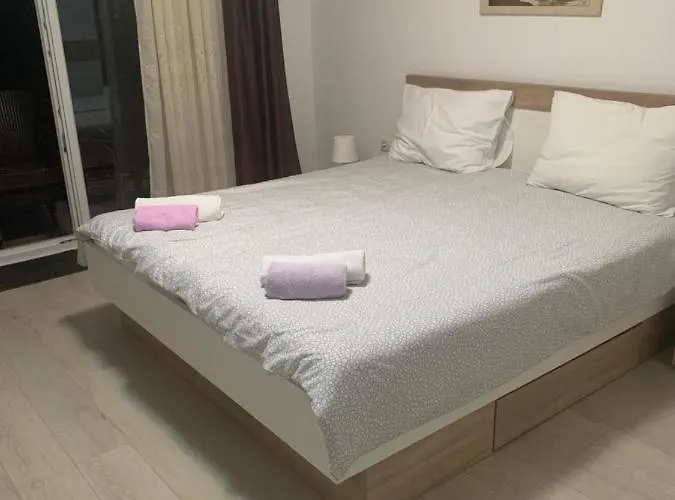 Paco & Bony ロヴラン