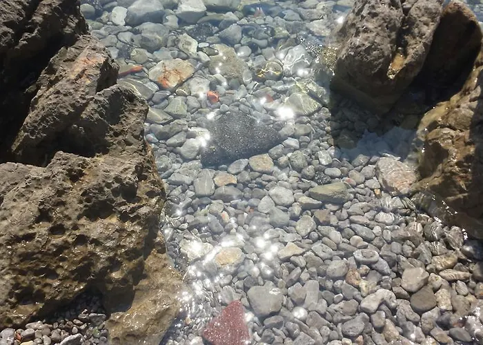 Paco & Bony * Lovran