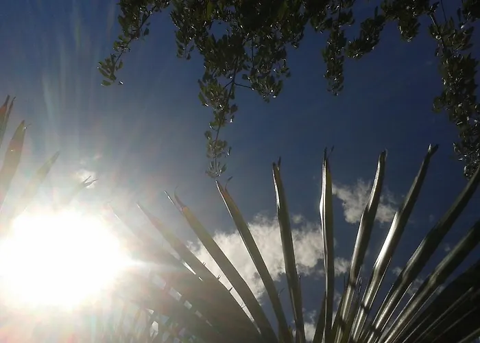 Paco & Bony * Lovran