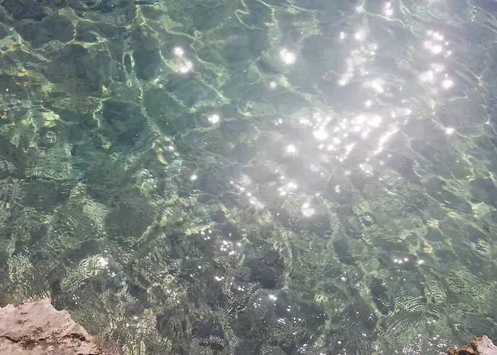 Paco & Bony Apartman