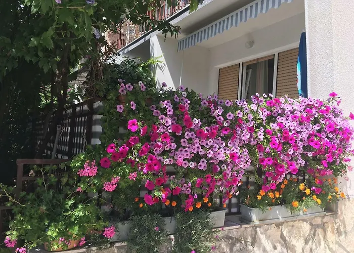 Paco & Bony * Lovran