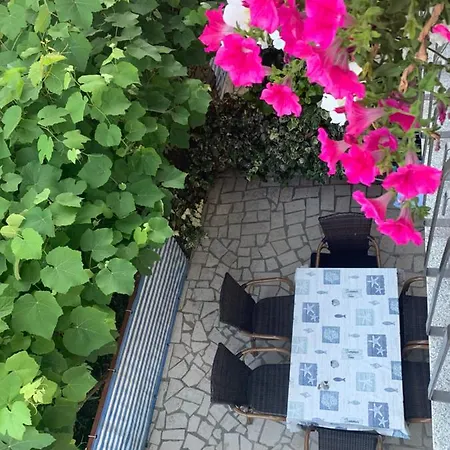 Paco & Bony Apartmán *