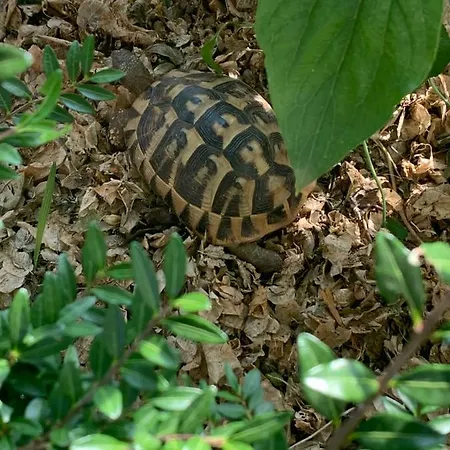 Apartamento Paco & Bony