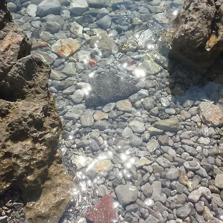 Paco & Bony * Lovran