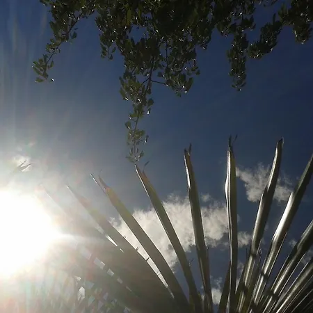 Paco & Bony * لوفغان