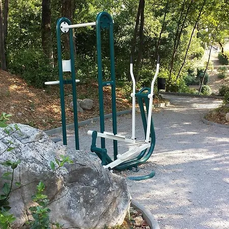 Paco & Bony * لوفغان