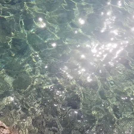 Paco & Bony 아파트