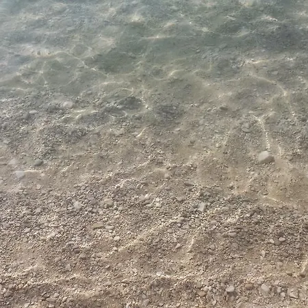 Paco & Bony لوفغان