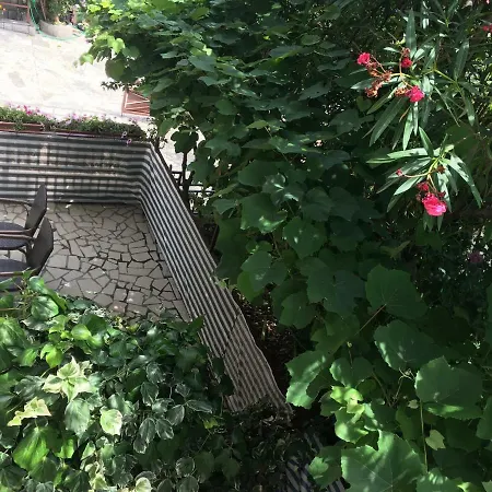 Paco & Bony شقة *