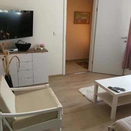 Paco & Bony لوفغان