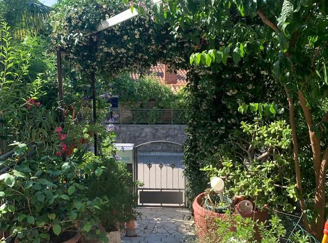 Apartment Paco & Bony