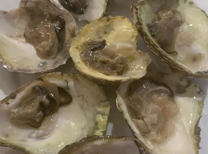 Apartment Paco & Bony *