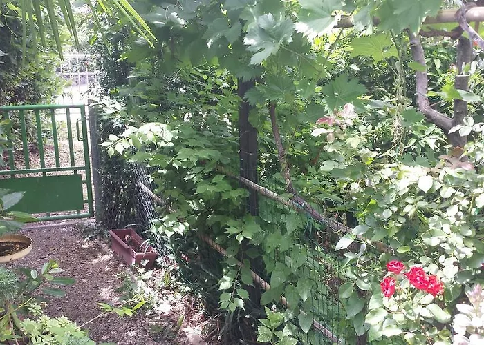 Apartment Paco & Bony