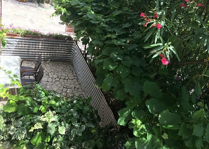 Paco & Bony Apartment *